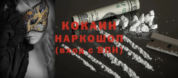 крисы Алексин