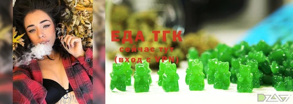 ECSTASY Алзамай