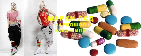 ECSTASY Алзамай