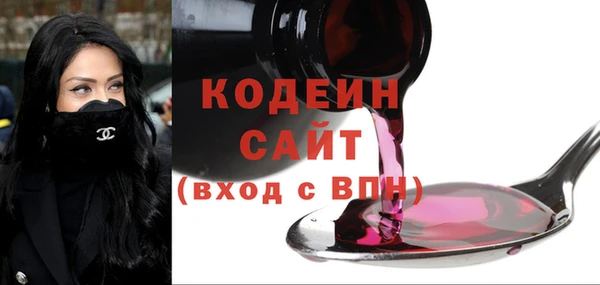 ECSTASY Алзамай