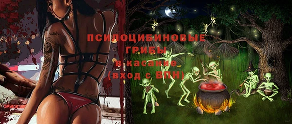 крисы Алексин