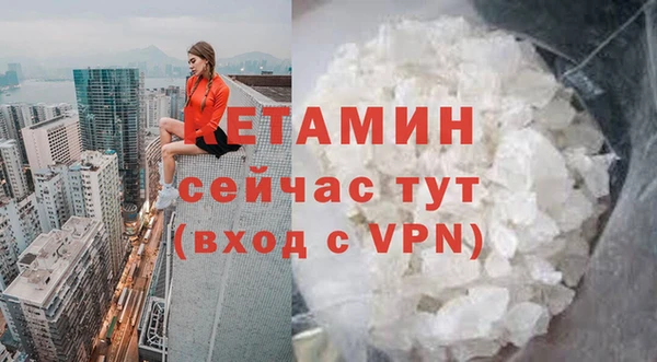 ECSTASY Алзамай