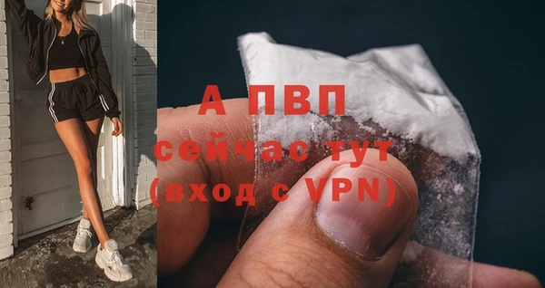 крисы Алексин