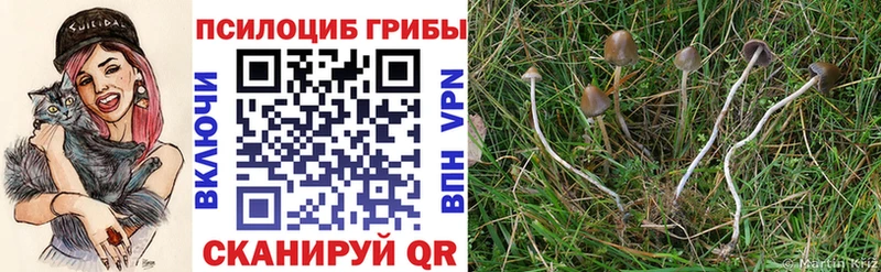 Галлюциногенные грибы прущие грибы Чухлома